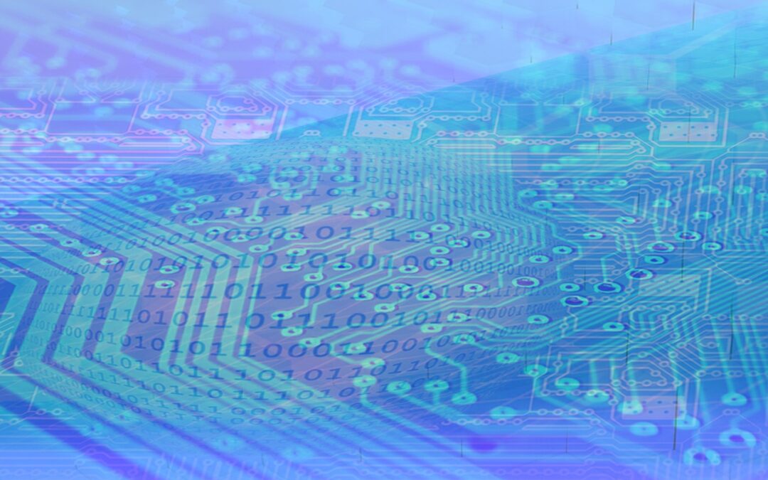 MANAGEMENT INFORMATION