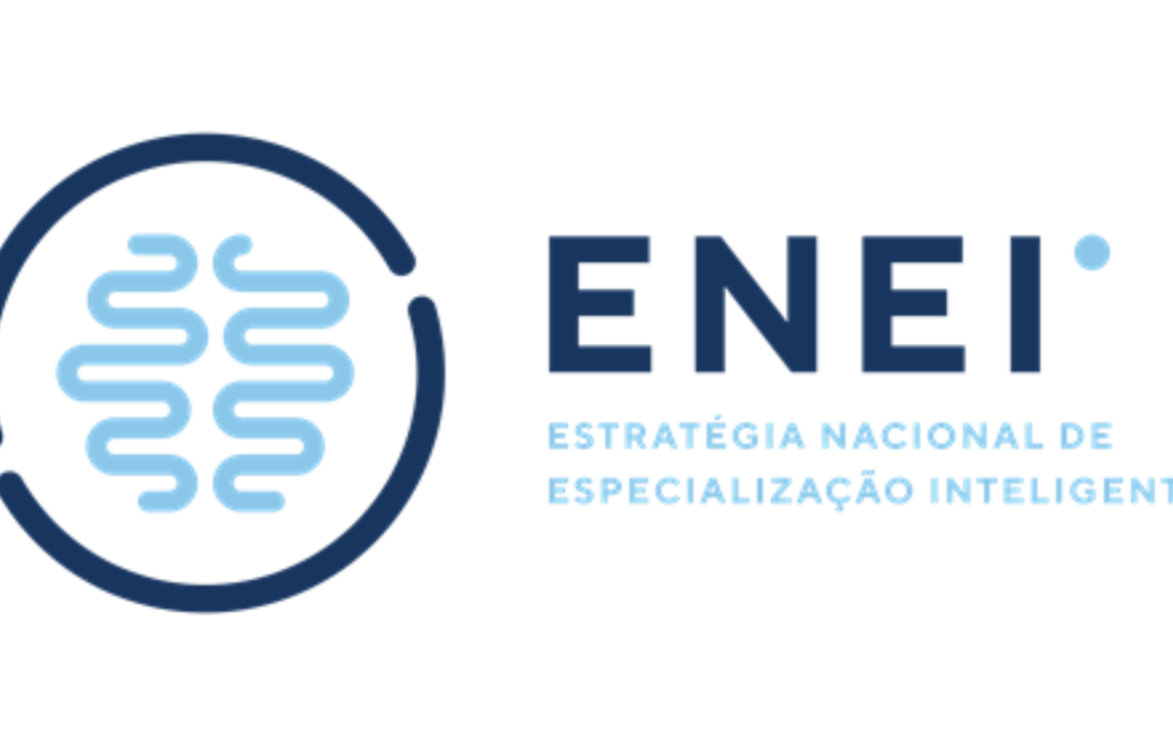 ACTIVATION OF THE TECHNICAL COMMISSION FOR ENEI 2030 – SUPPORT AND CONSULTATION BODY OF THE EXECUTIVE COMMISSION OF ENEI 2030