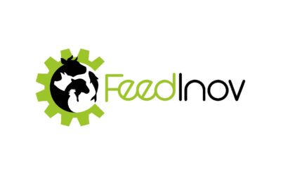 FeedInov CoLAB