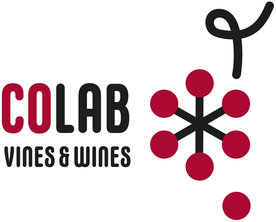 VinesWines_COLAB