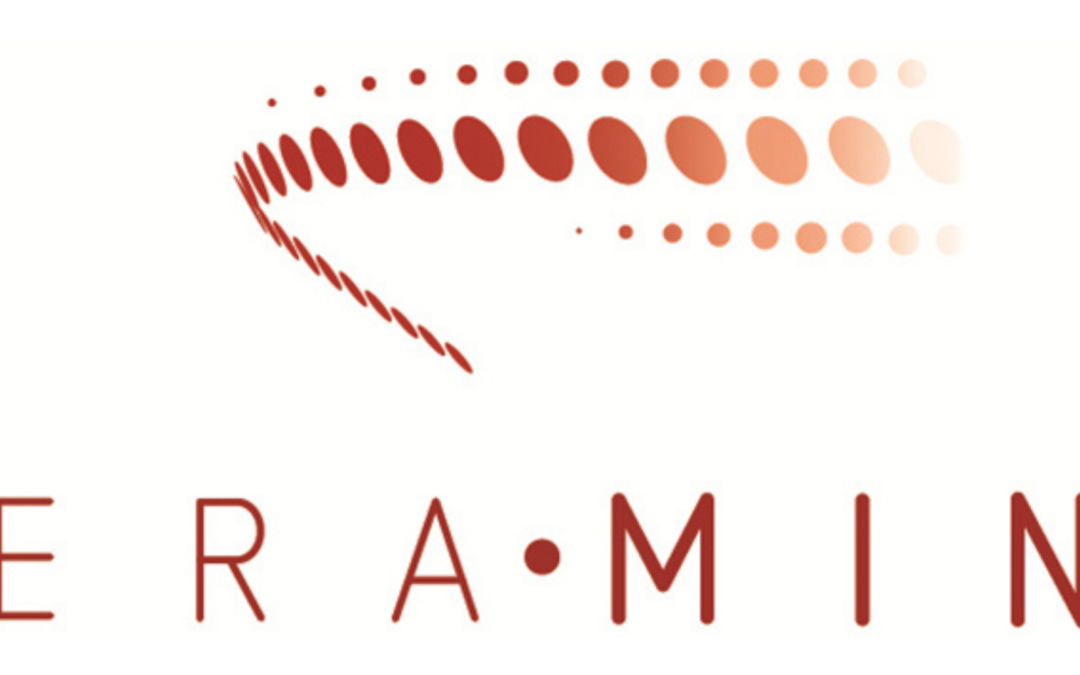 CONSULTA PÚBLICA SOBRE A AGENDA ESTRATÉGICA DE I&D PARA AS MATÉRIAS-PRIMAS