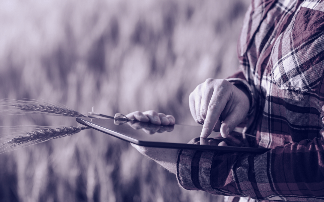 EIT Food:  RIS Inspire – Integração de Tecnologias Avançadas na Agricultura Regenerativa