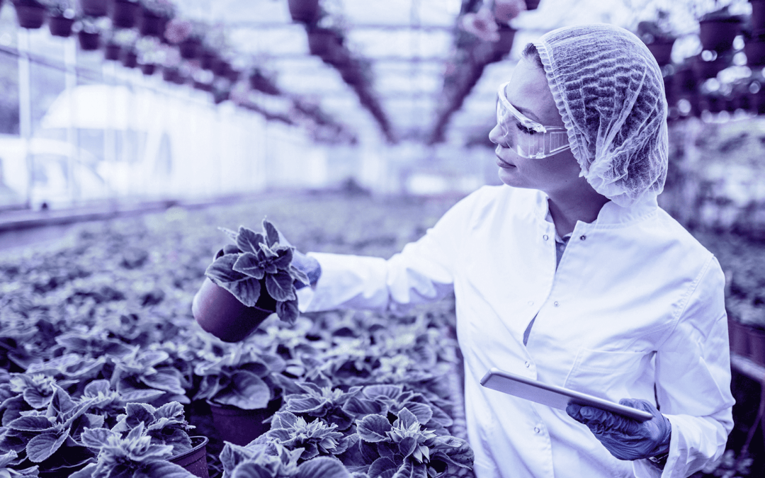EIT FOOD AIMS TO TRAIN WOMEN LEADERS IN THE FOOD SECTOR