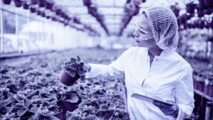 noticias_EITFood_mulhereslideres_setoralimentar