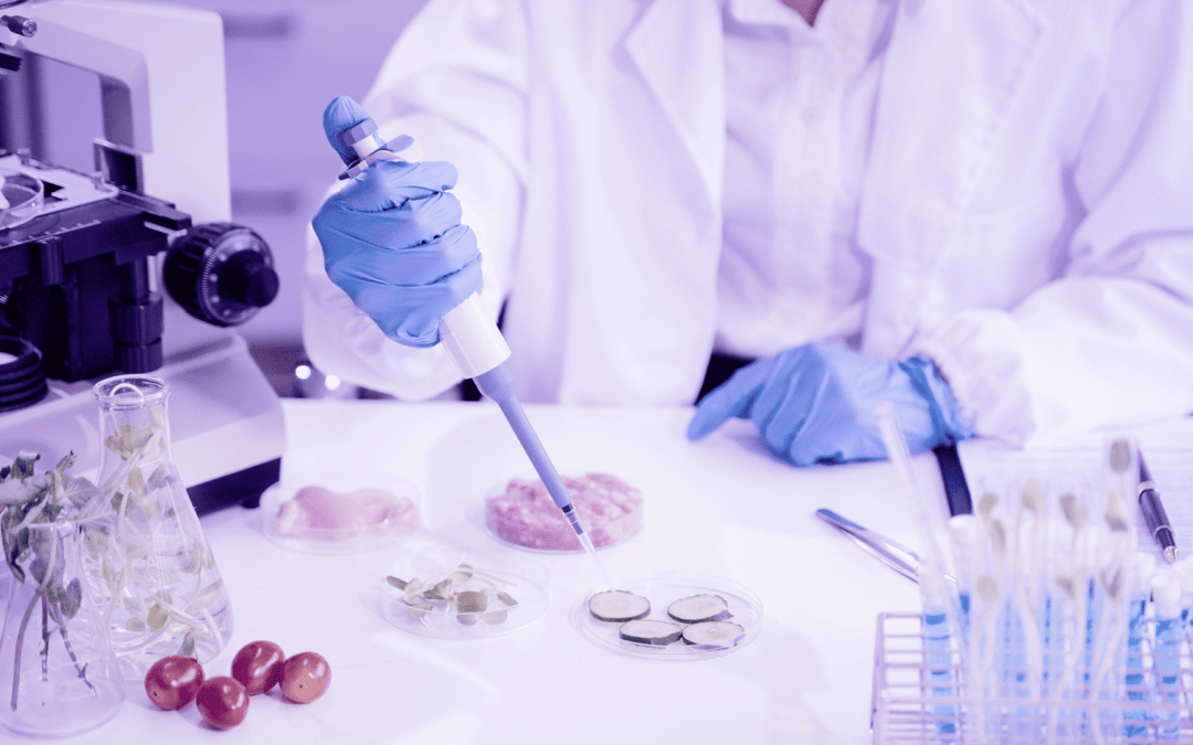 EIT Food: Food Solutions Programme 2025 Implementing Consortia Call