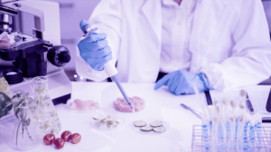 noticias_food_solutions_programme25