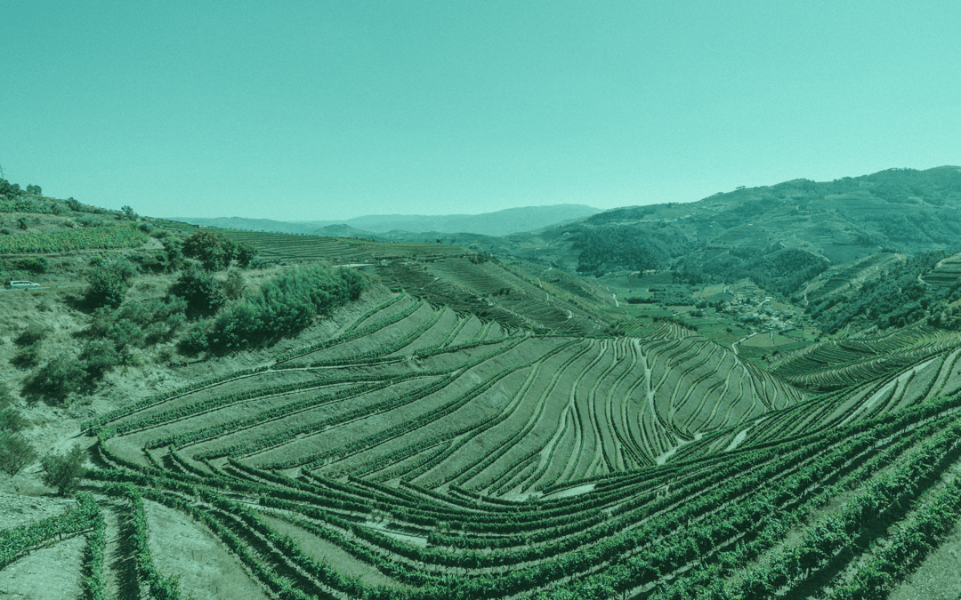 Seminar “Rural Placemaking – New European Bauhaus”