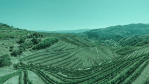 noticias_placemakingrural_neb
