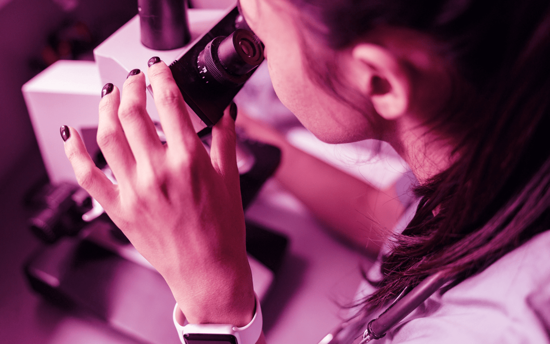 Seedsight Wins BfK Awards at the 11th Edition of the Crédito Agrícola Entrepreneurship and Innovation Prize