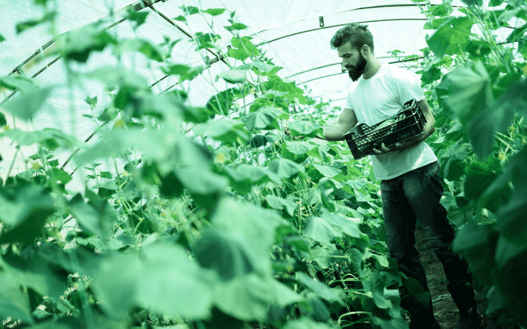 EIT Food promove webinar para scale-ups inovadoras do setor AgriFoodTech