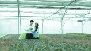noticias_EITFood_AcceleratorNetworkProgramme