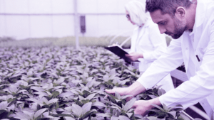 noticias_produtoresprimarios_CBE-JU