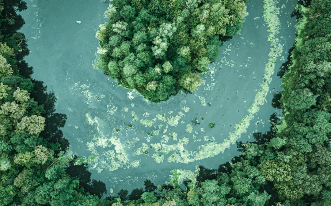 Info Day Nacional CBE JU: Oportunidades de Financiamento para o Concurso 2025