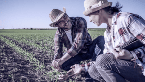 Notícias_EIT-Food-programa-setor-agroalimentar