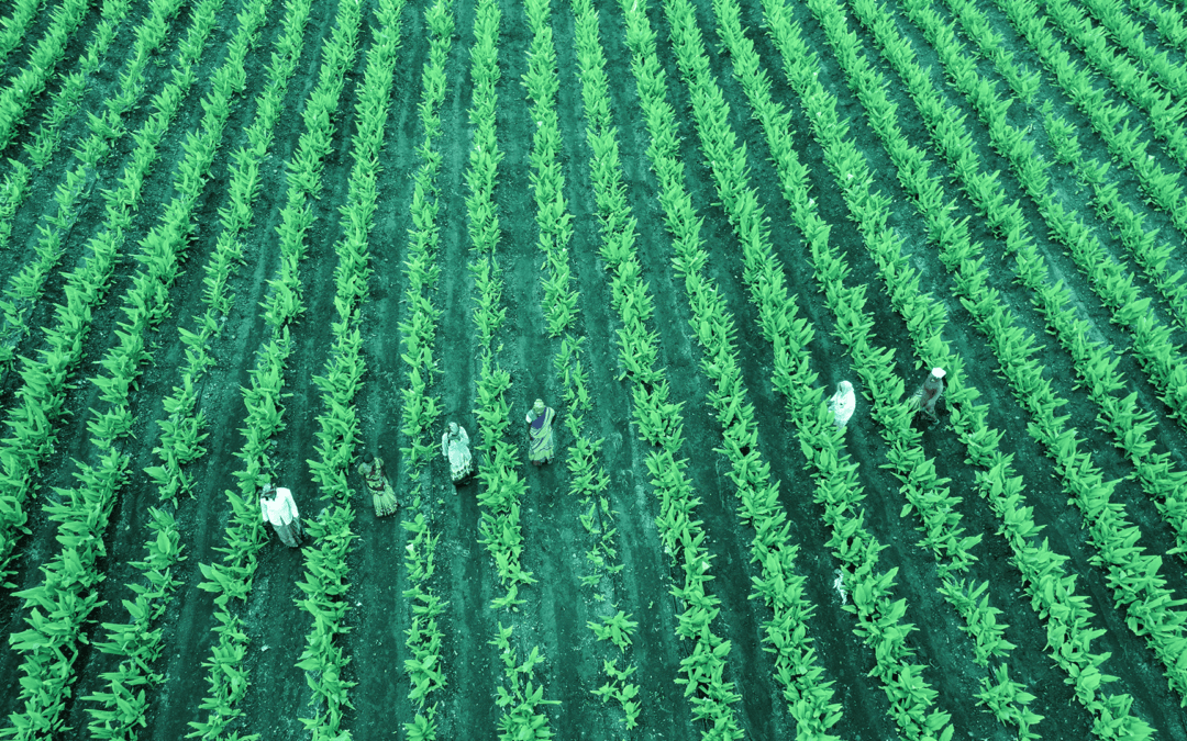 Cluster 6 do Horizonte Europa: Networking Estratégico e Formação para as Calls 2025