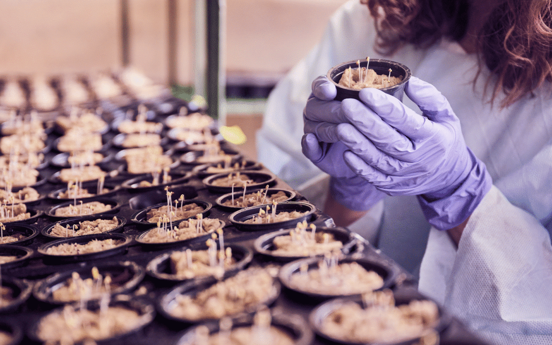EIT Food: Straight2Market 2025 acelera inovação no setor alimentar