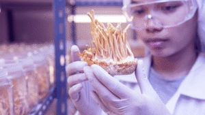 Concursos_eitfood_eit-Infrabooster-practioner