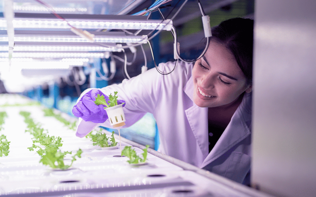 Companies can apply to test the R&D services of the EIT Food RIS PSRAL project