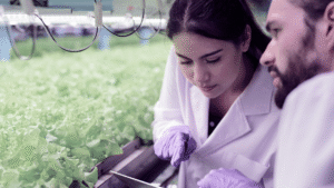 concurso_Seedbed_EITFood