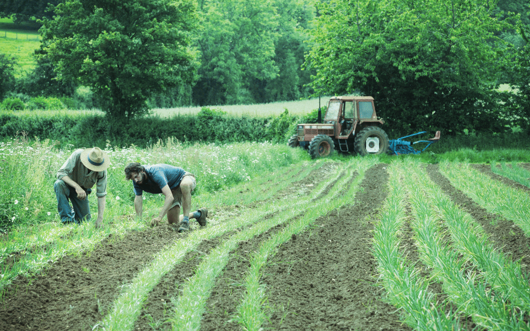 Climate KIC opens applications for ambassadors for the Green Horizons Farmers’ Network