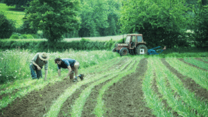 noticias_ClimateKIC_GreenHorizonsFarmers