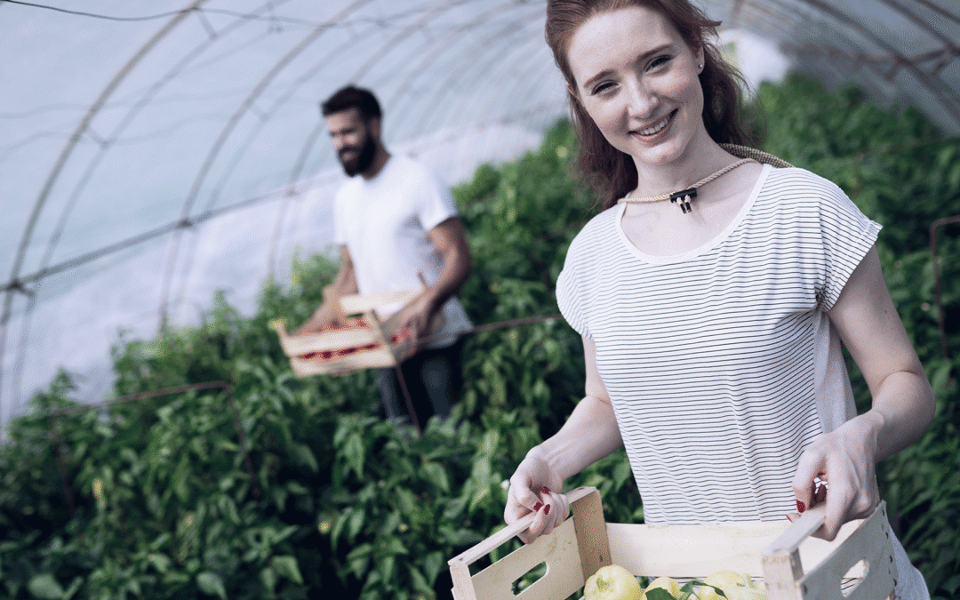 BGI Sustainable Ventures launches 3rd edition of INSPIRE Circular Agrifood School