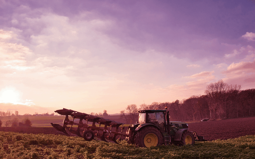 ANI integra júri da 14.ª Edição do Prémio Nacional de Agricultura