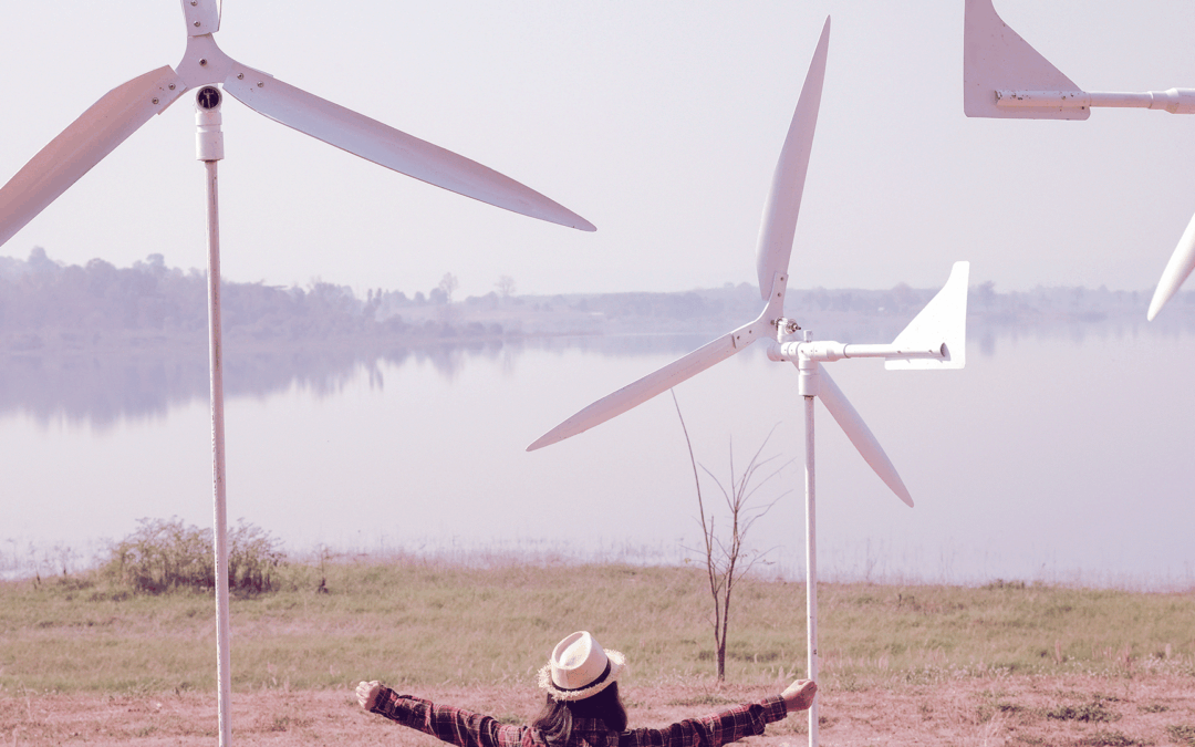 ClimAccelerator apoia organizações empreendedoras dedicadas à inovação climática