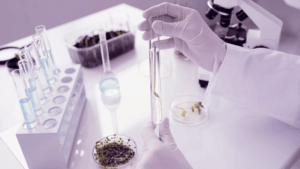 concurso_EITFood_CofinanciamentoProvasConceito