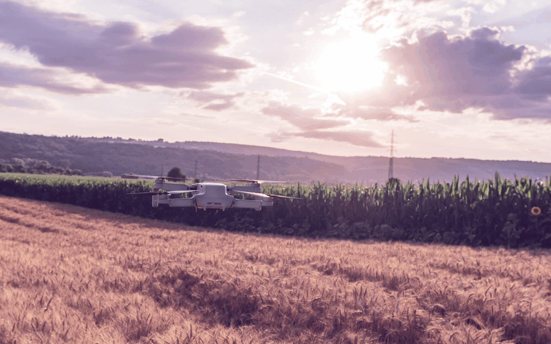 EIT Food: Prémio de Inovação 2025