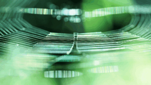 eventos_EITInnovationAwards2025