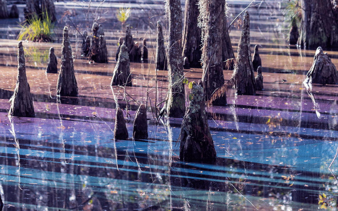 ClimAccelerator 2026: Open Call para Organizações de Apoio ao Empreendedorismo Focadas em IA e Deep-Tech para Impacto Climático