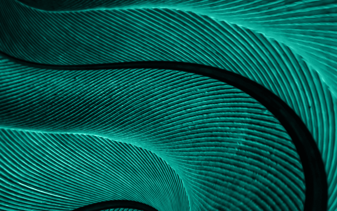 Universidade de Aveiro acolhe encontro europeu dedicado ao futuro dos Materiais Avançados