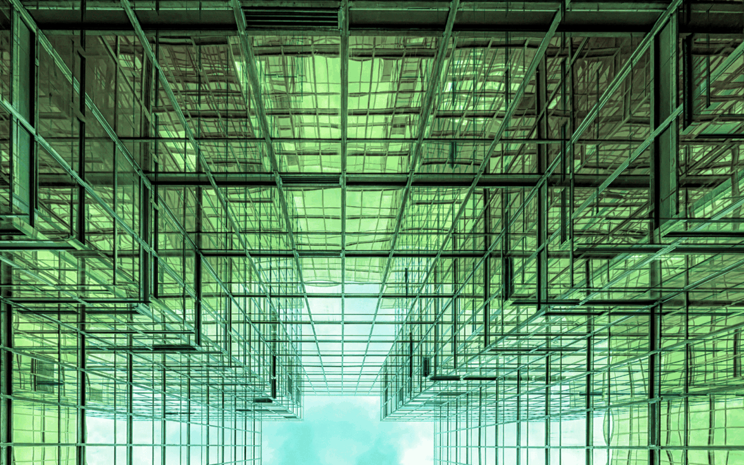 ANI marca presença na Web Summit 2025 com destaque para o conhecimento e a inovação de base tecnológica