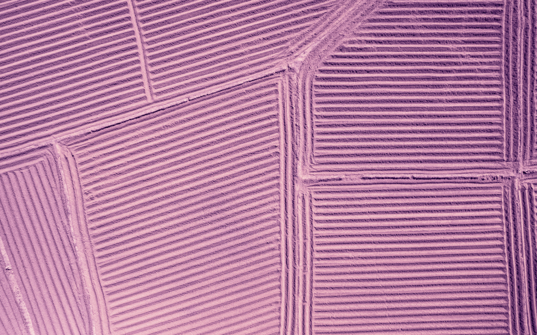 EIT Food lança convocatória para tecnologias de monitorização de carbono no solo no âmbito do projeto LILAS4SOILS