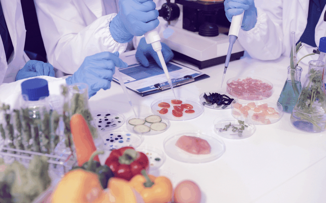 EIT Food anuncia convocatória Seedbed 2026–2028 para selecionar novas Venture Builders europeias