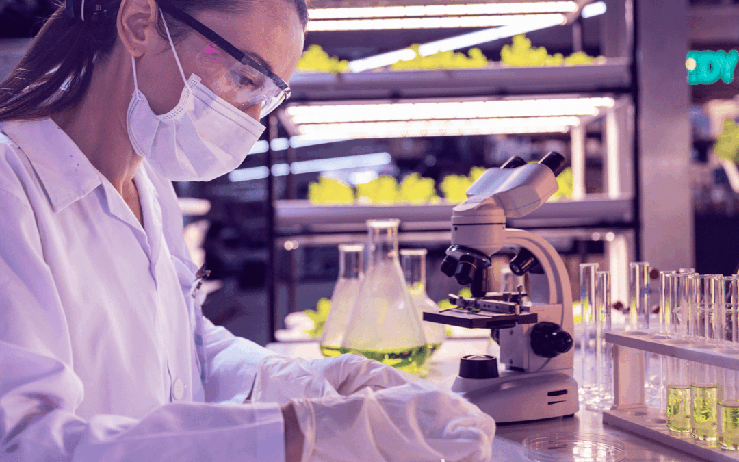 Sanofi lança dois concursos de inovação com apoios para startups e académicos