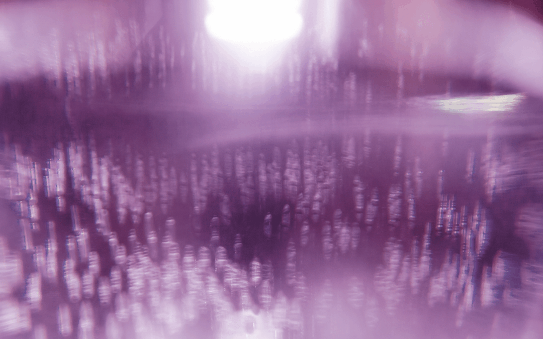 Três Equipas Portuguesas entre os Vencedores do EIT Jumpstarter 2025