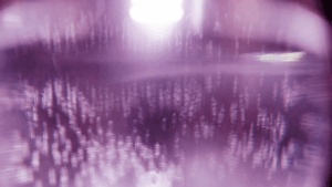 noticias_3Vencedores_EITJumpstarter