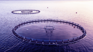 concursos_EIT-Food_Aquacultura