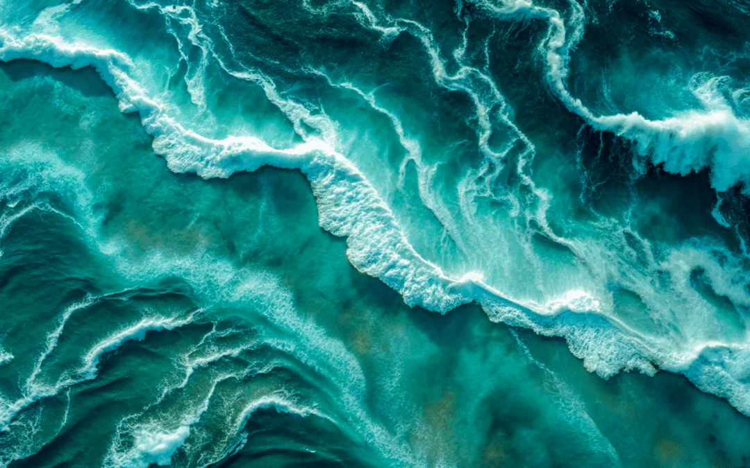 Sessão dedicada à nova oportunidade de financiamento Horizonte Europa: implementação da Década do Oceano