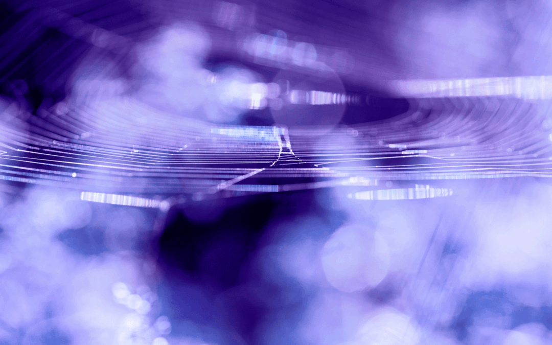 28DIGITAL abre open call SPIN: Rise 2026 para programas de pré-incubação de inovação científica