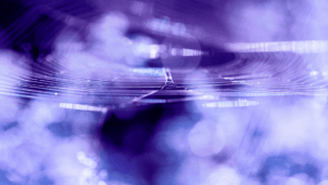 Concursos_28DIGITAL_Spin-Rise-2026