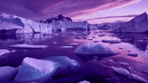 Concursos_DesirMED-Climate-Ambassador