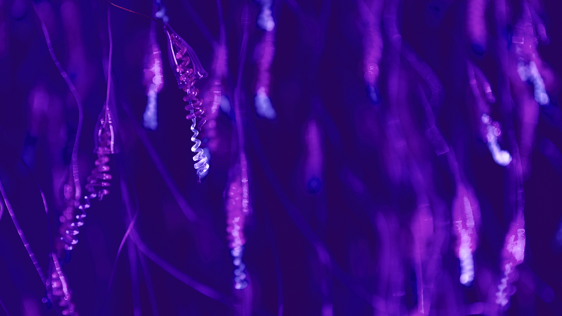 STEP - I&D&I Empresarial | Digital e Biotecnologia