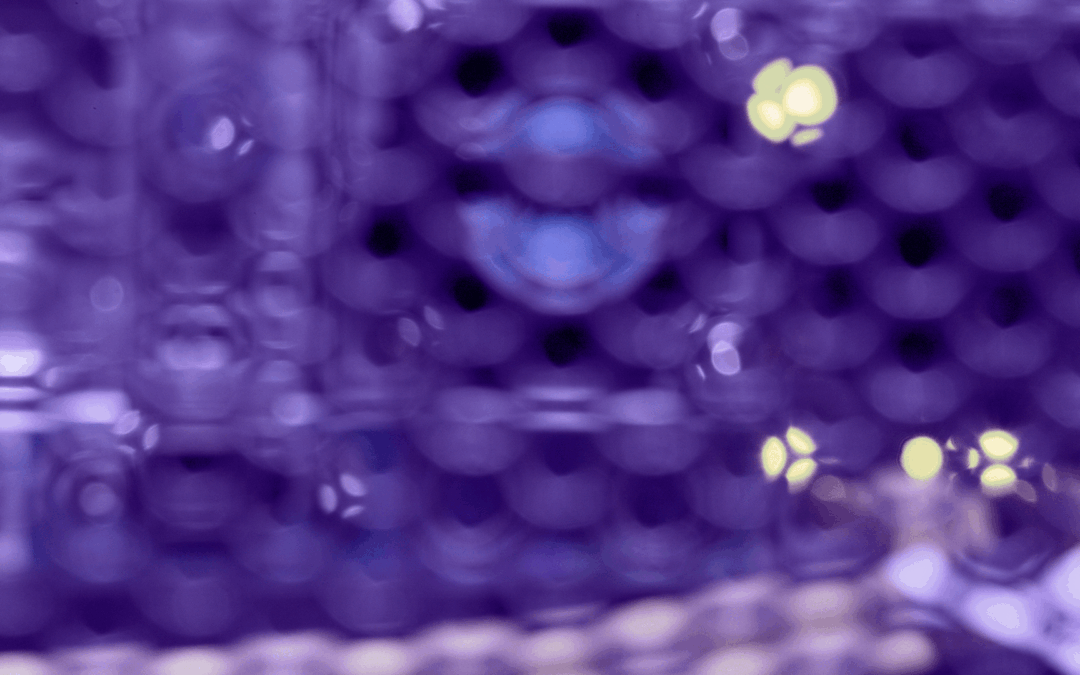 Publicados Avisos STEP I&D&I Empresarial nas áreas de Energia, Digital e Biotecnologia