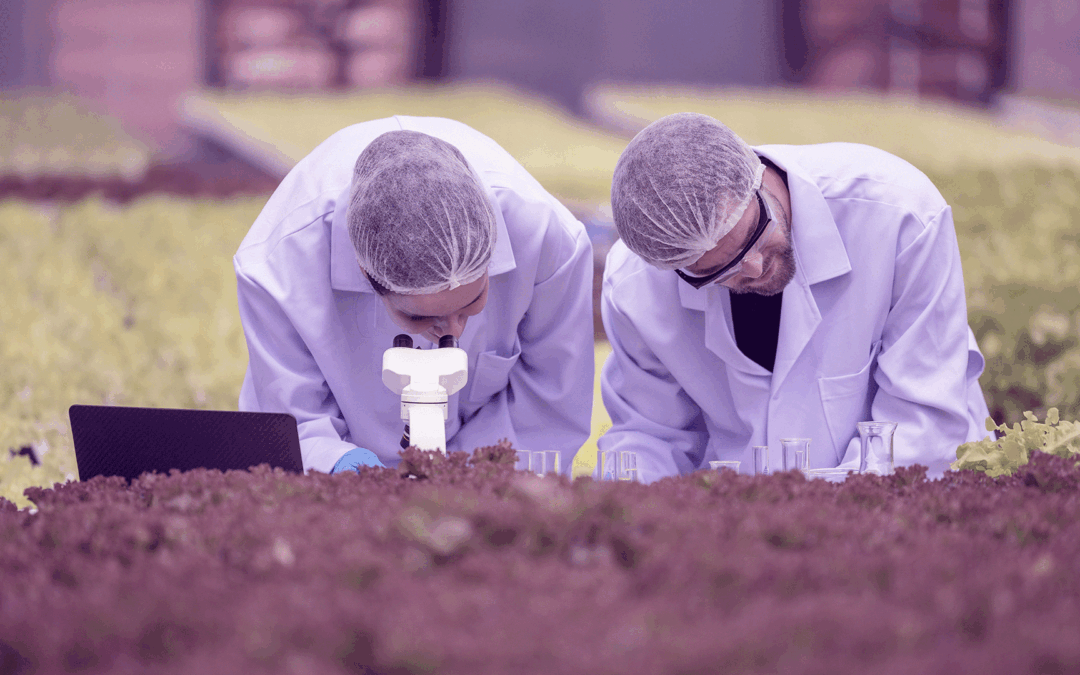 EIT Food abre convocatória 2026 do Accelerator Network (FAN) para startups AgriFoodTech