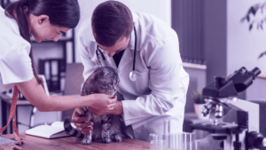 concurso_EITFood_ReimaginingPetNutrition