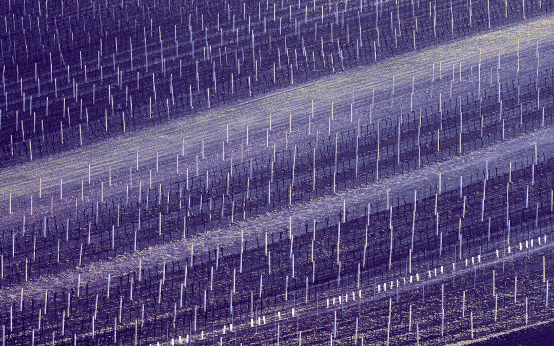 EIT Jumpstarter 2026 abre candidaturas para impulsionar inovação na Europa e países vizinhos