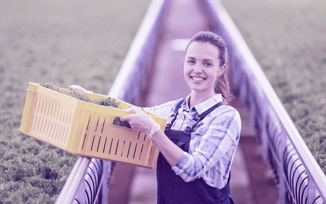 Candidaturas abertas para a edição de 2026 do programa EWA para apoiar mulheres empreendedoras no setor agroalimentar